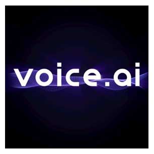 Voice AI AI工具